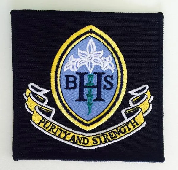 Old Logo - Crest (SENIOR)